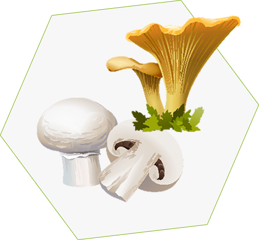 Portobello Mushrooms