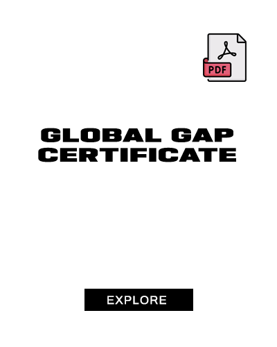 GAP Certificate